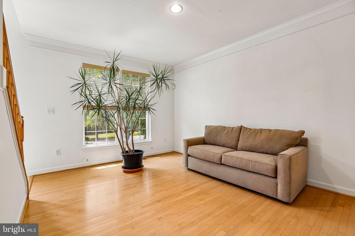 3006 Novak Terrace photo 13
