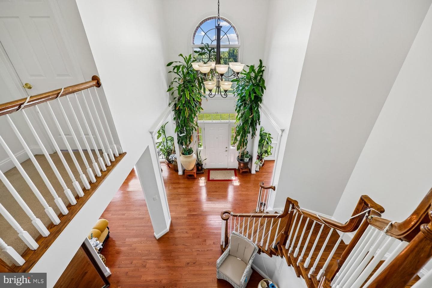 25106 Highland Manor Court photo 57