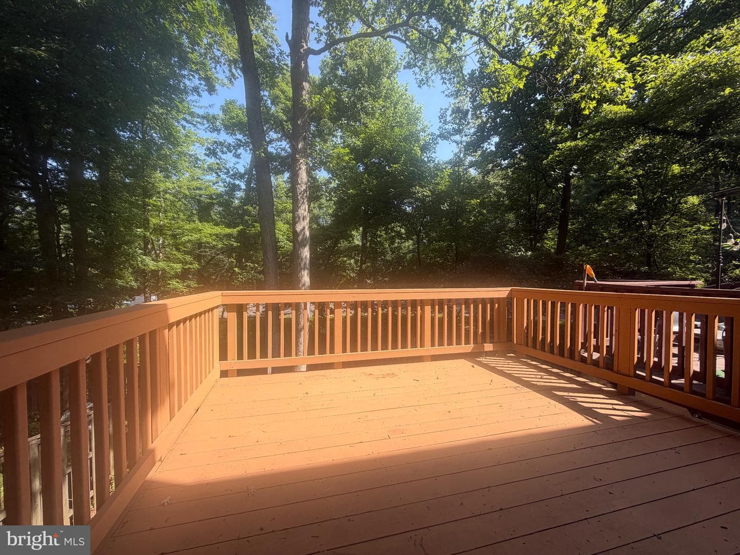 1103 Wildpark Avenue photo 6