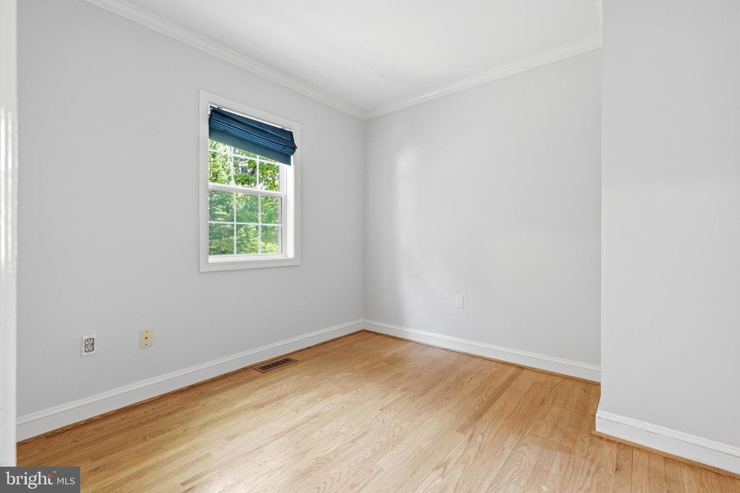 901 Davis Avenue photo 25