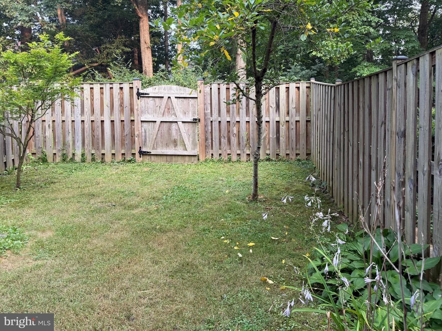 1909 Windjammer Way photo 35