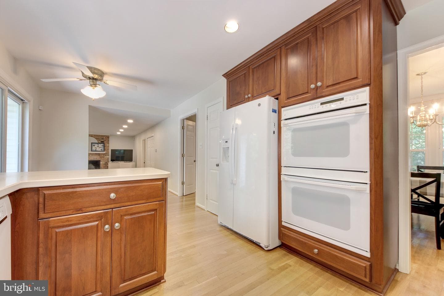 1038 Carnation Drive photo 8