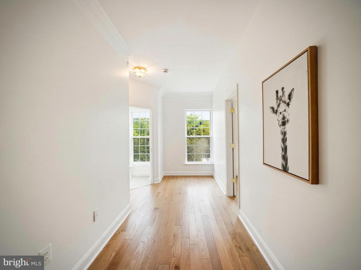 23407 Rainbow Arch Drive photo 11