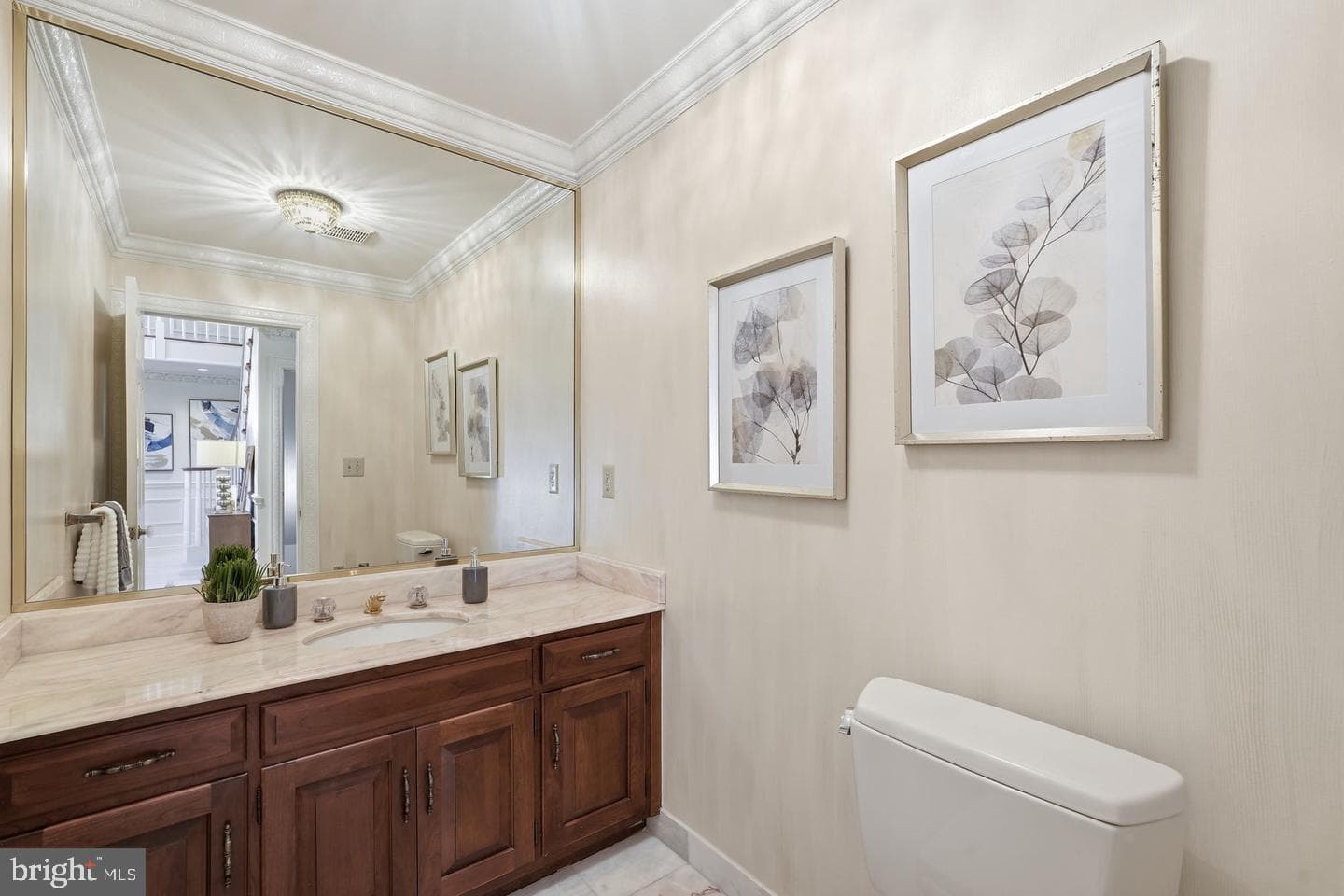 10517 Alloway Drive photo 33
