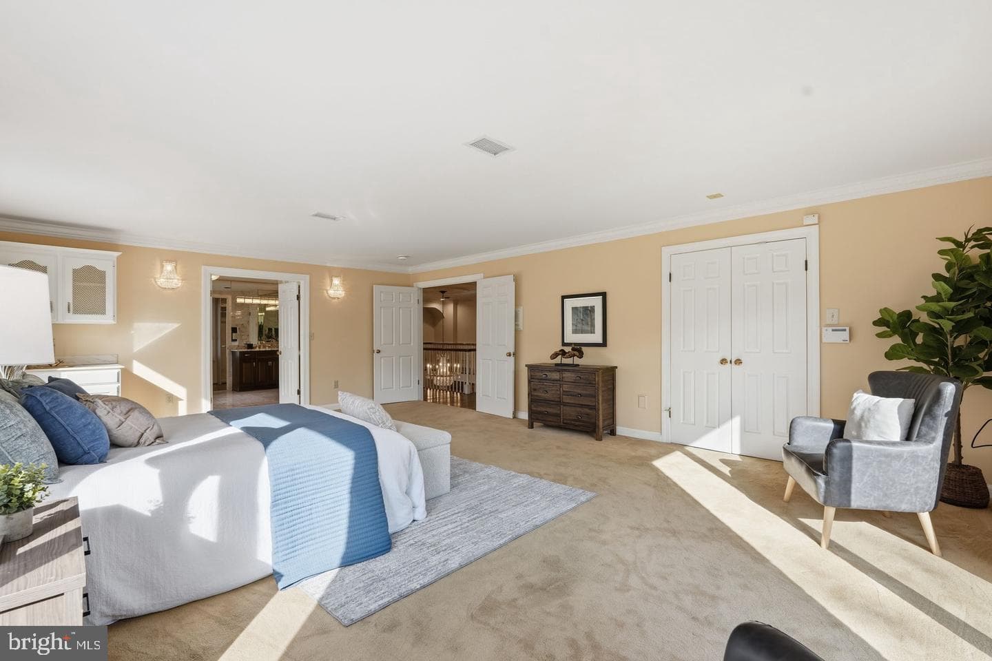 10517 Alloway Drive photo 38