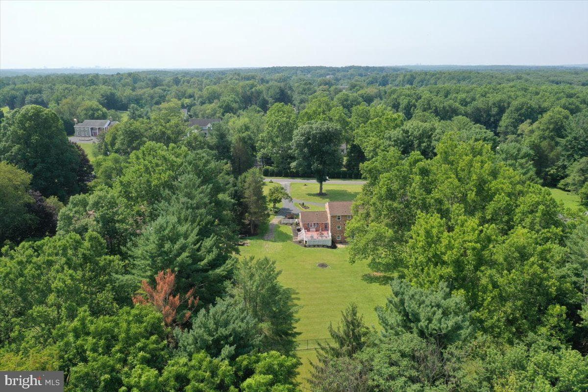 14811 Springfield Road photo 101