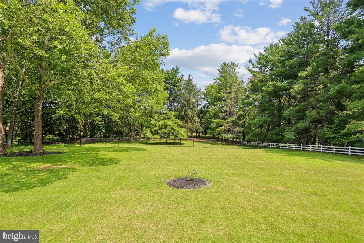 14811 Springfield Road photo 80