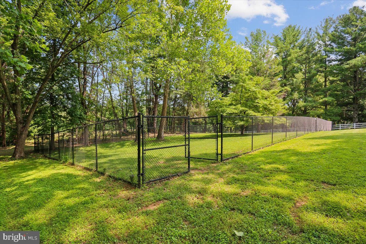 14811 Springfield Road photo 83