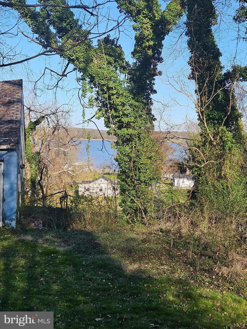 23404 Wilson Drive photo 2