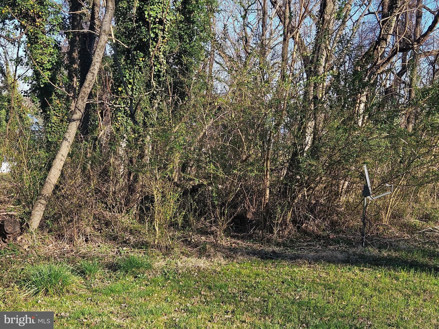 23404 Wilson Drive photo 3