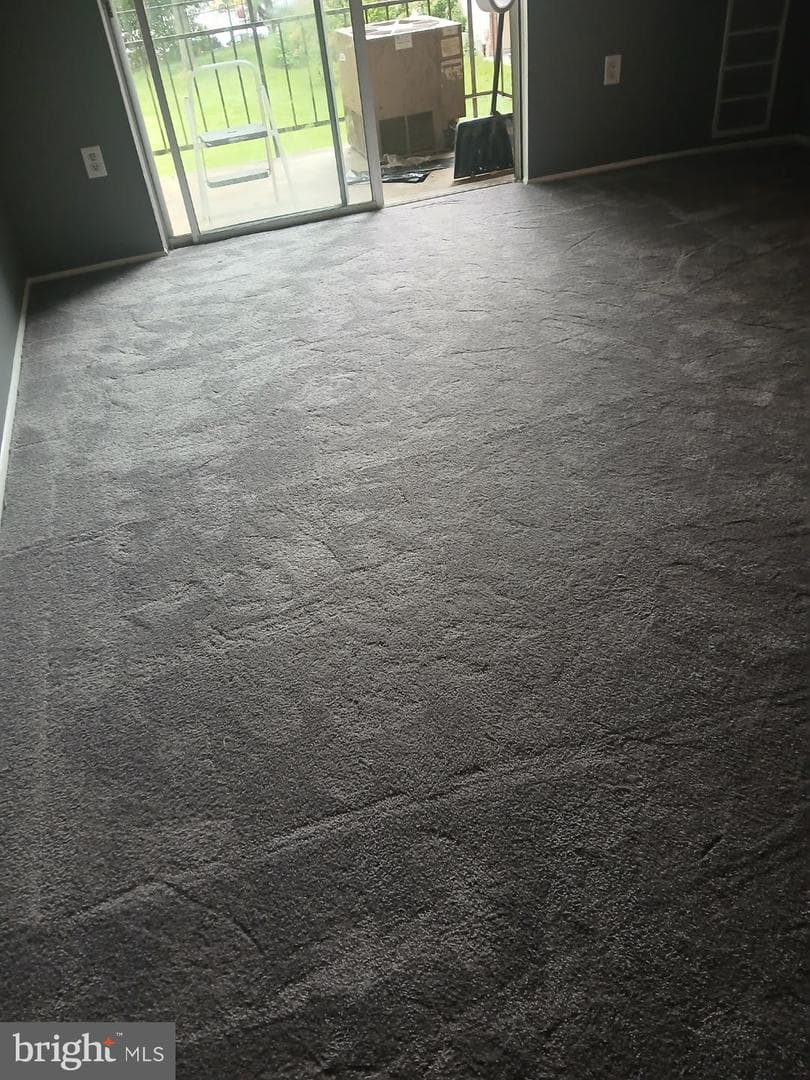 11316 Cherry Hill Road #203 photo 3