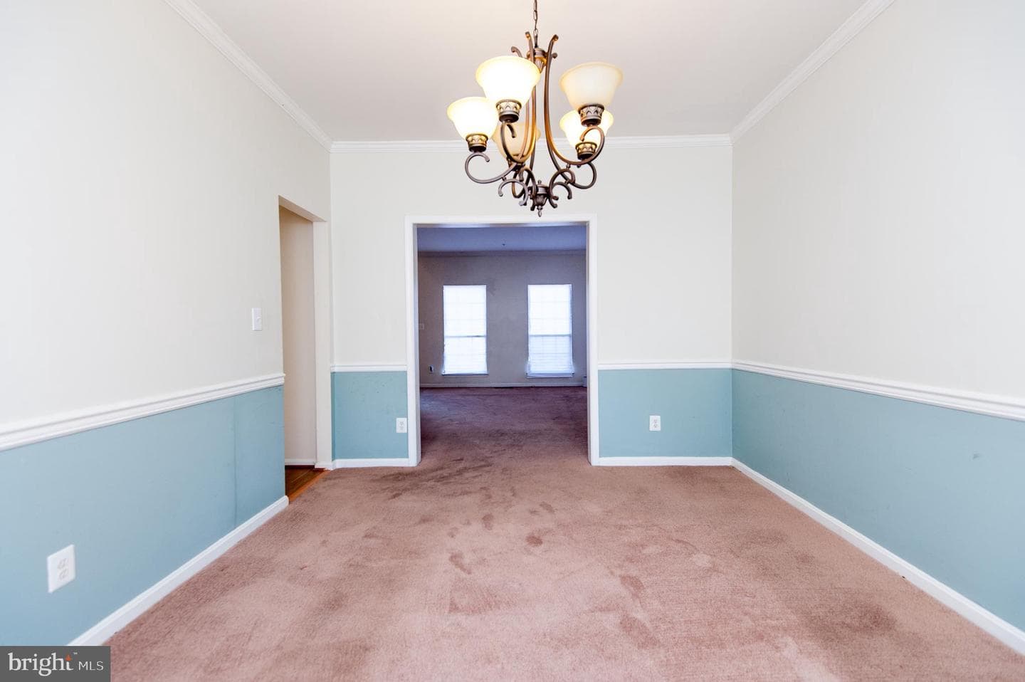1309 Merganser Court photo 37