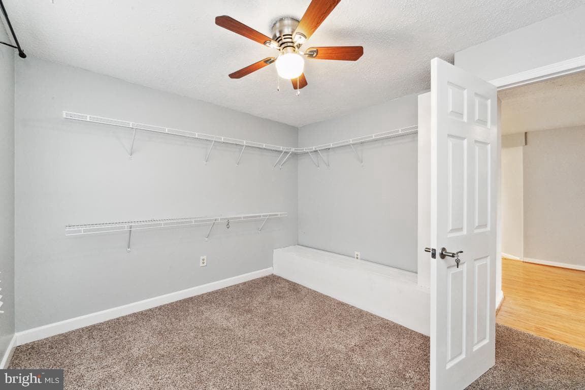 4549 Natahala Drive photo 9