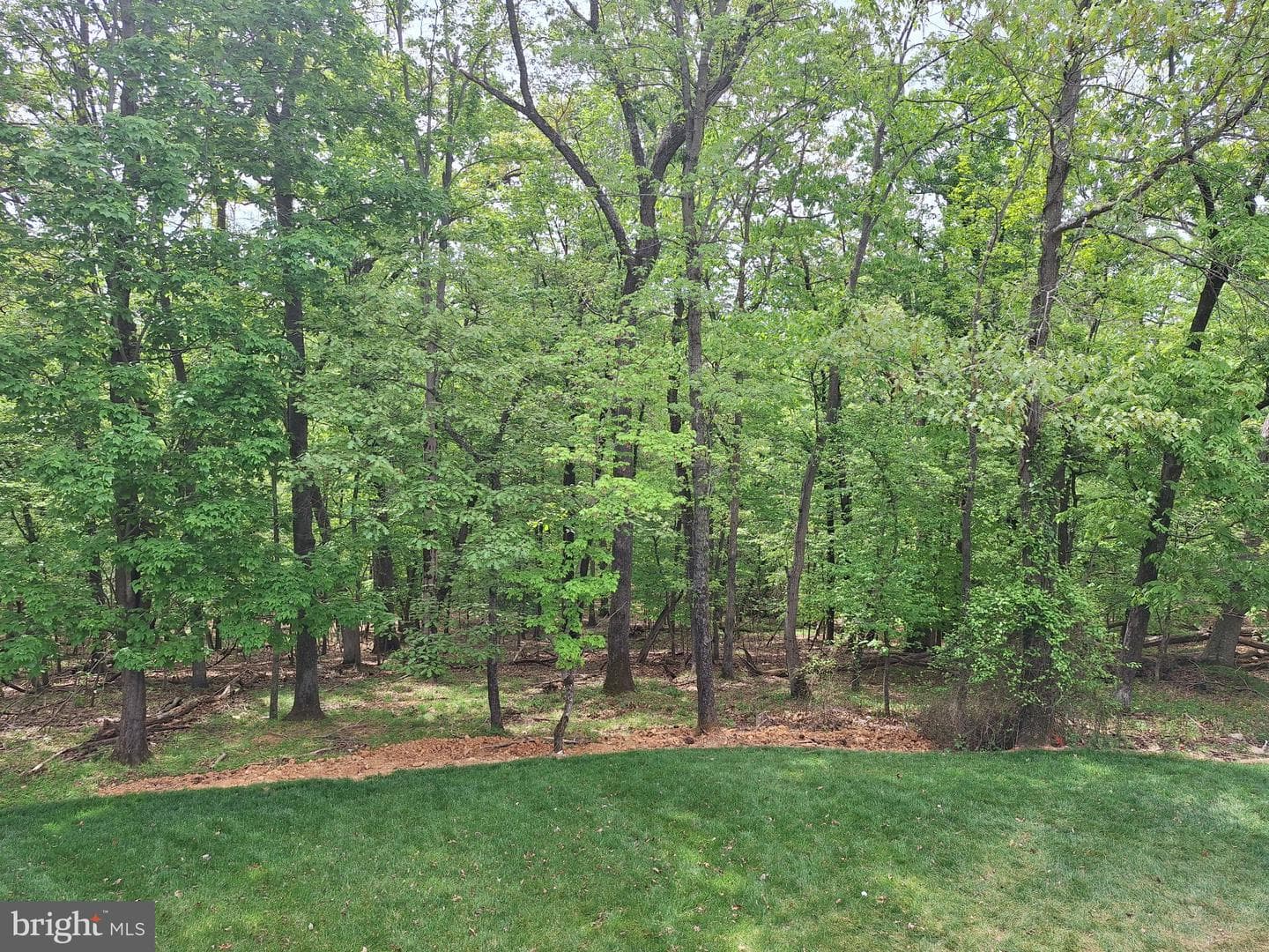 200 Lismore Drive photo 47