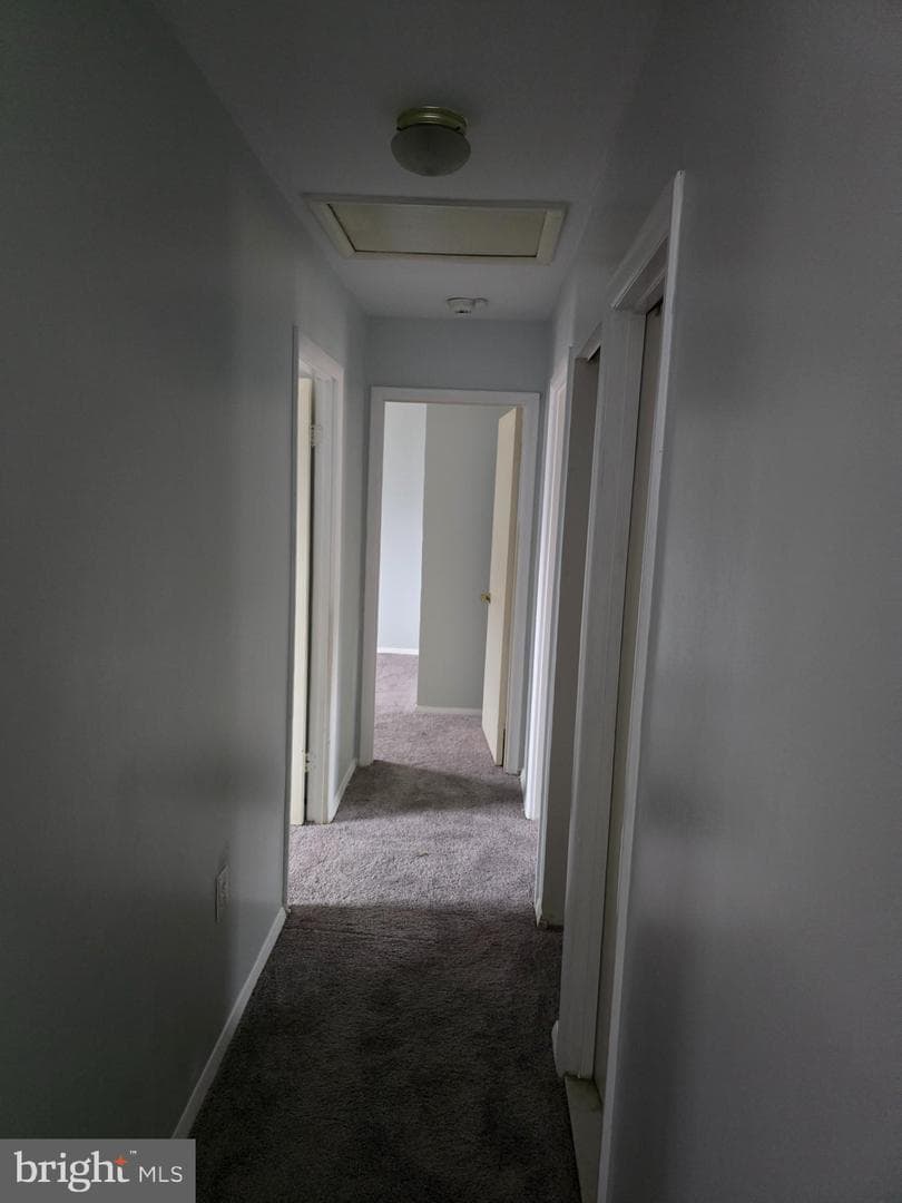 6200 Terence Drive photo 14