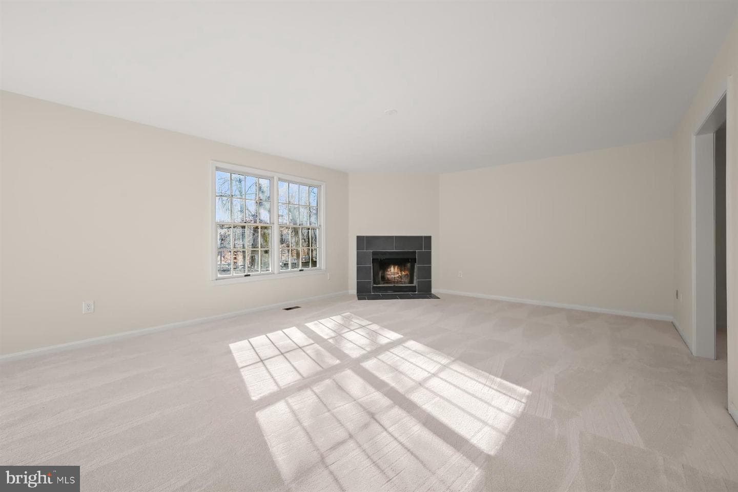 13121 Old Fletchertown Road photo 29