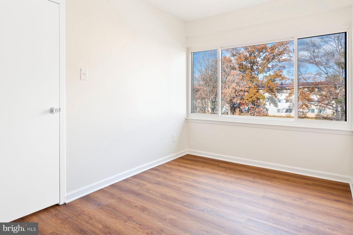 11234 Cherry Hill Road #304 photo 23