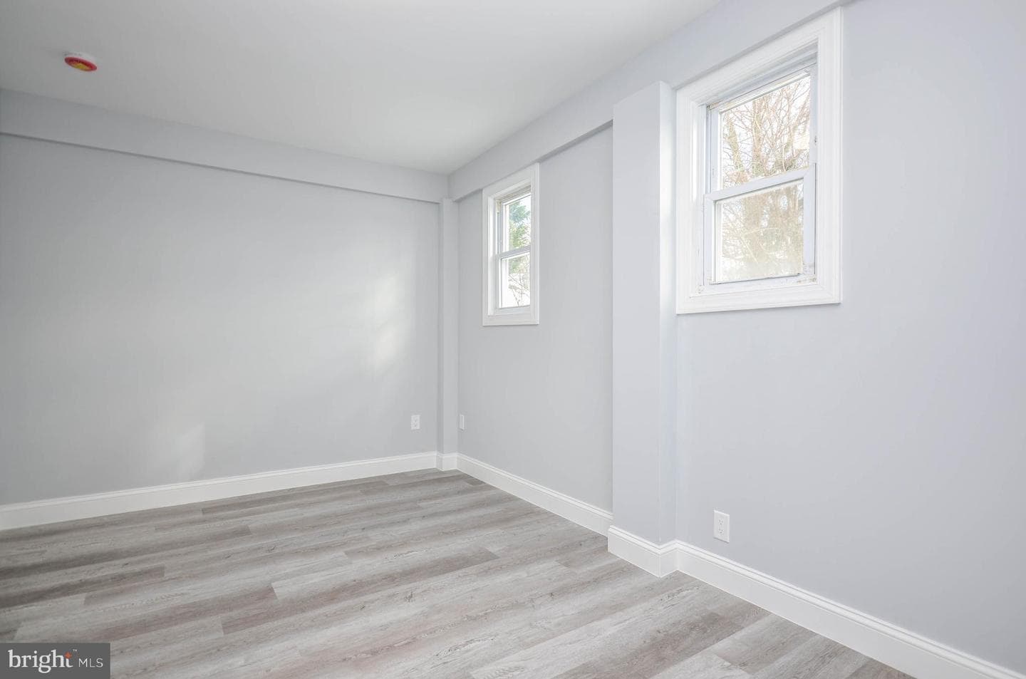7009 Adelphi Road photo 20