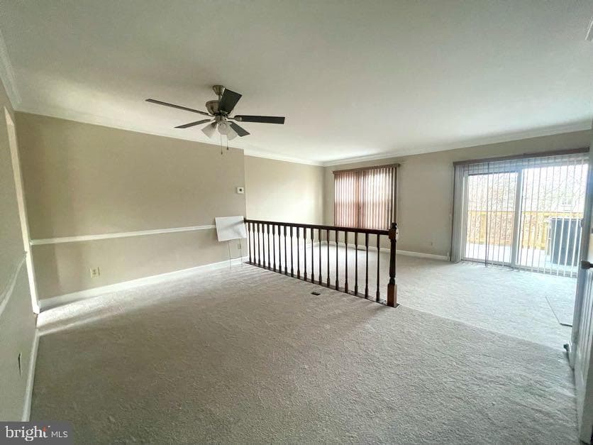 14633 Cambridge Circle photo 3