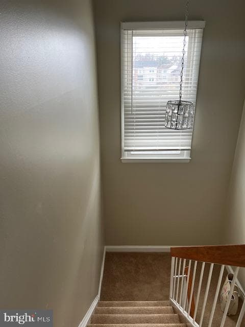 6221 Dimrill Court photo 27