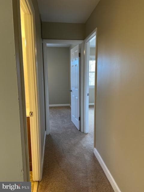 6221 Dimrill Court photo 34
