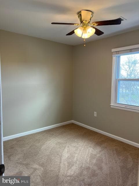6221 Dimrill Court photo 50