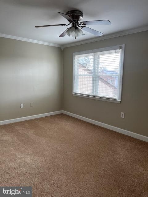 6221 Dimrill Court photo 56