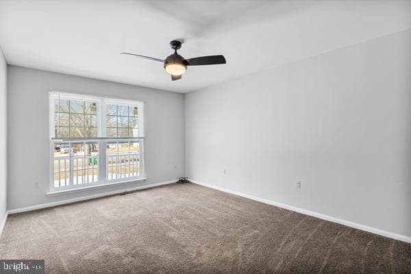 10308 Musket Court photo 21