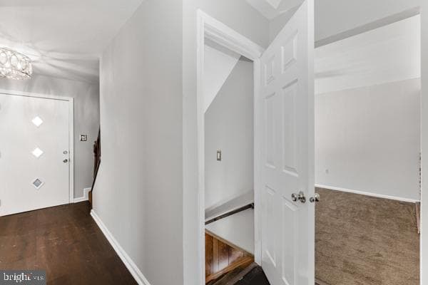 10308 Musket Court photo 36