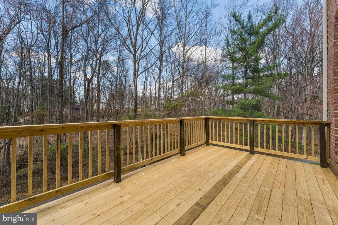 9102 Erfurt Court photo 40