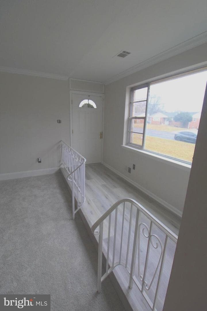 7015 Dower House Road photo 22