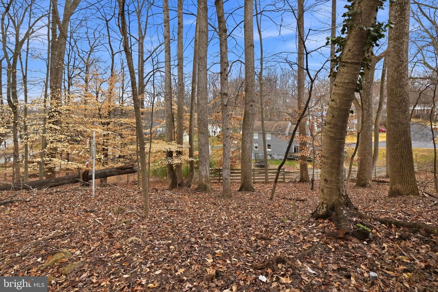 13012 Renfrew Circle photo 38