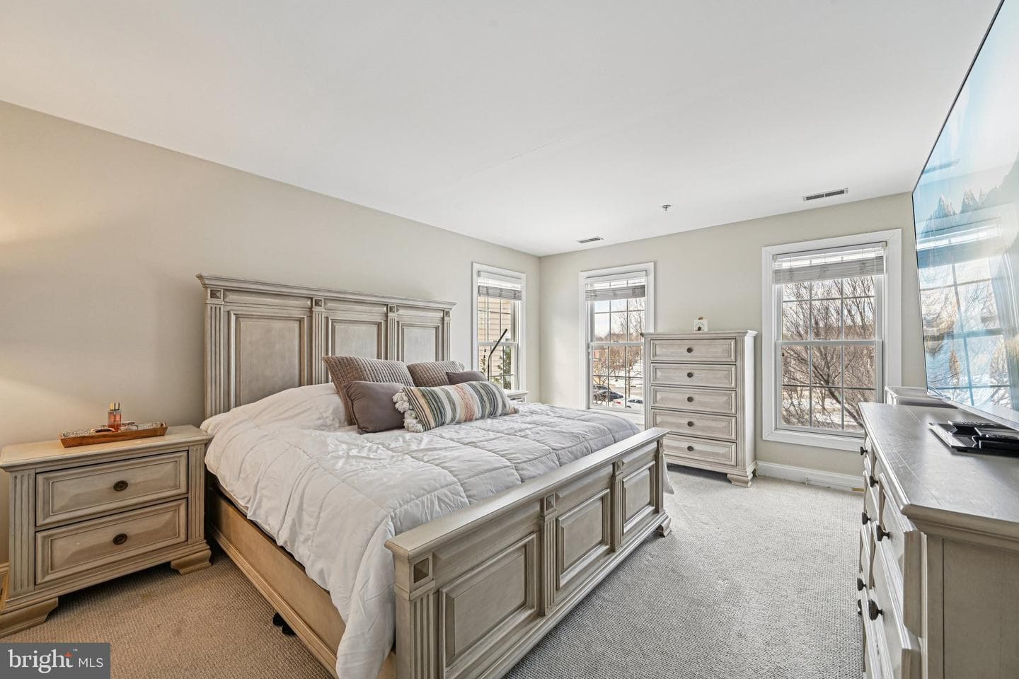 13207 Anthem Greenfields Drive photo 18