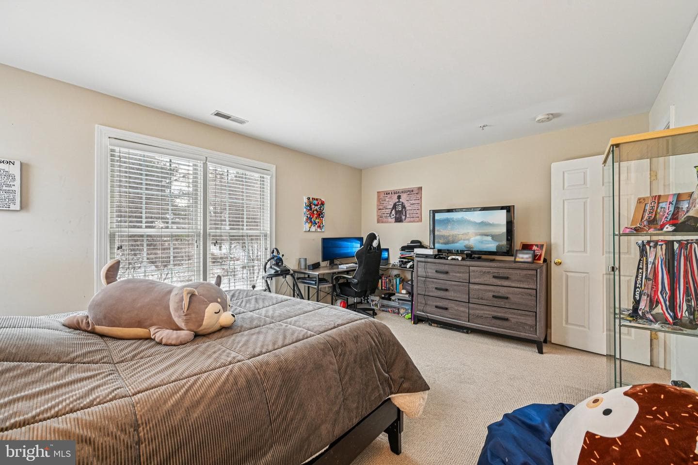 13207 Anthem Greenfields Drive photo 26