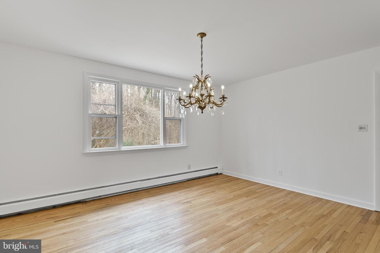 13008 Forest Drive photo 16