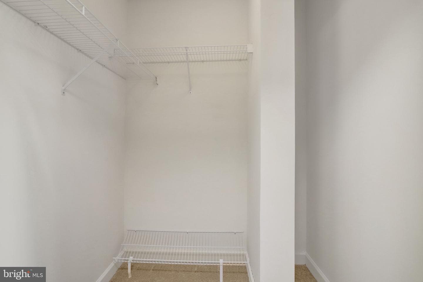 1407 Aragona Boulevard photo 42