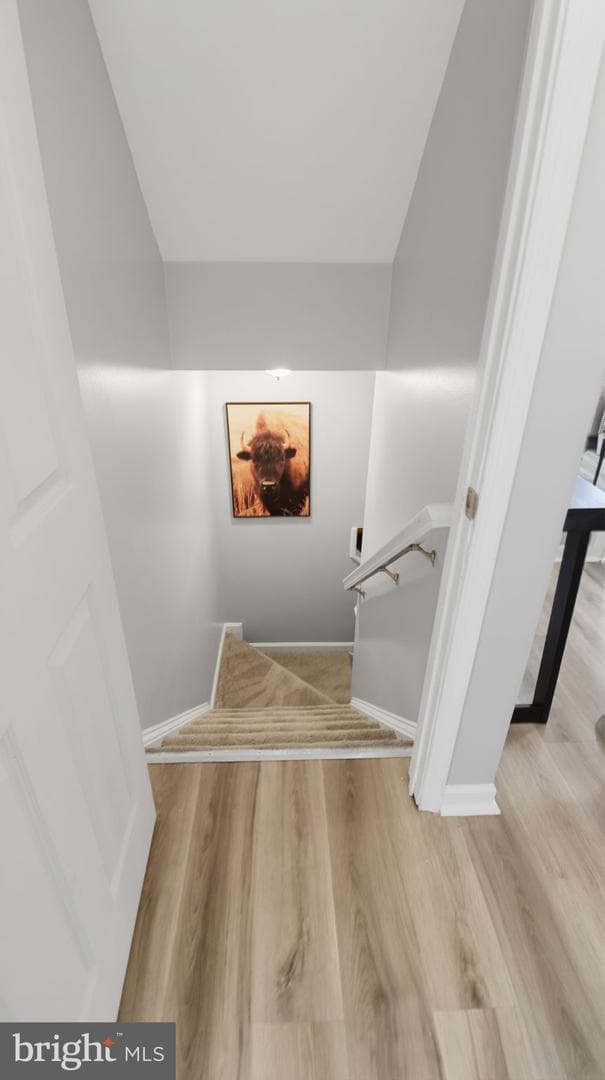 7105 Friendship Road photo 79