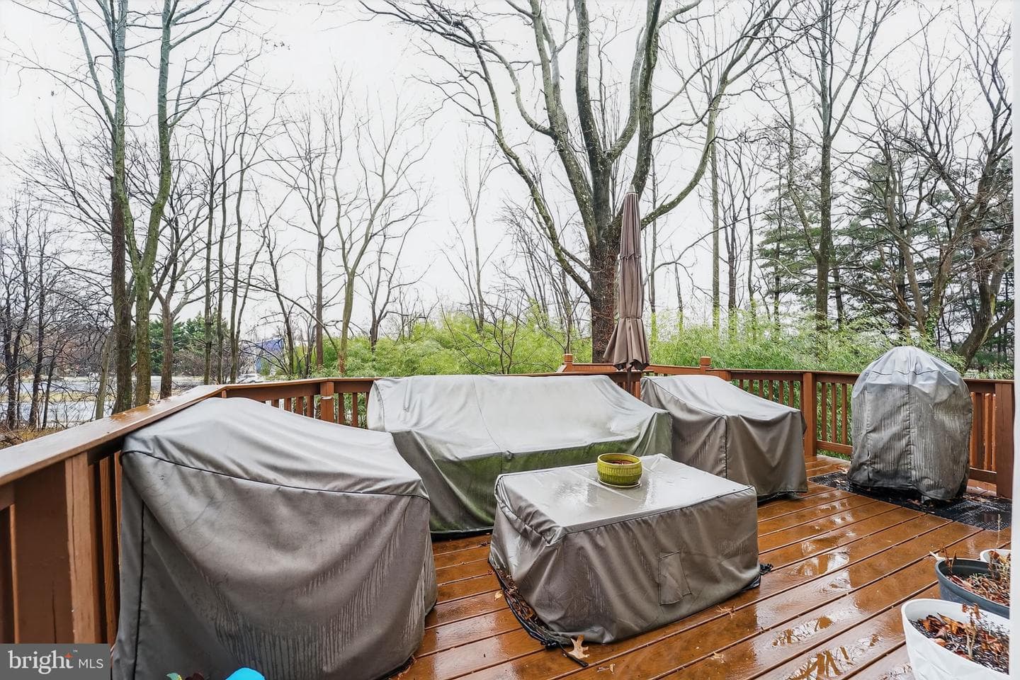 15521 Ebbynside Court photo 28