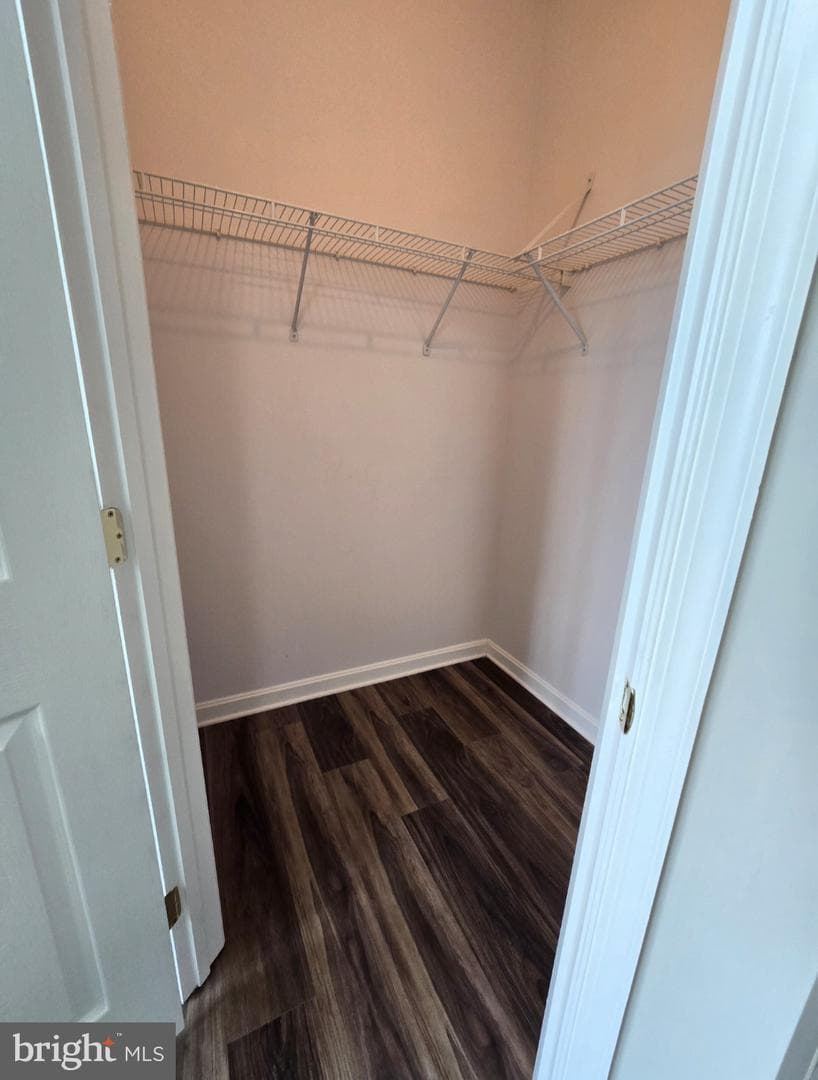 14226 Hampshire Hall Court #402 photo 29