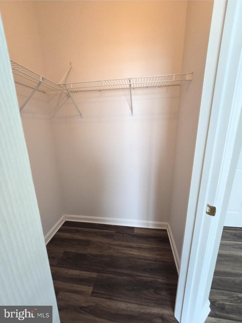 14226 Hampshire Hall Court #402 photo 30