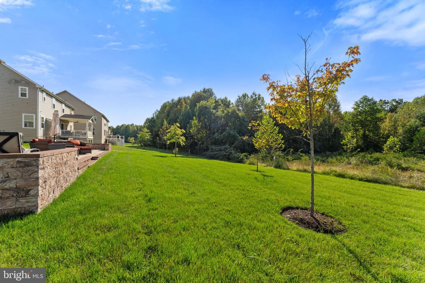 607 Rexford Way photo 54