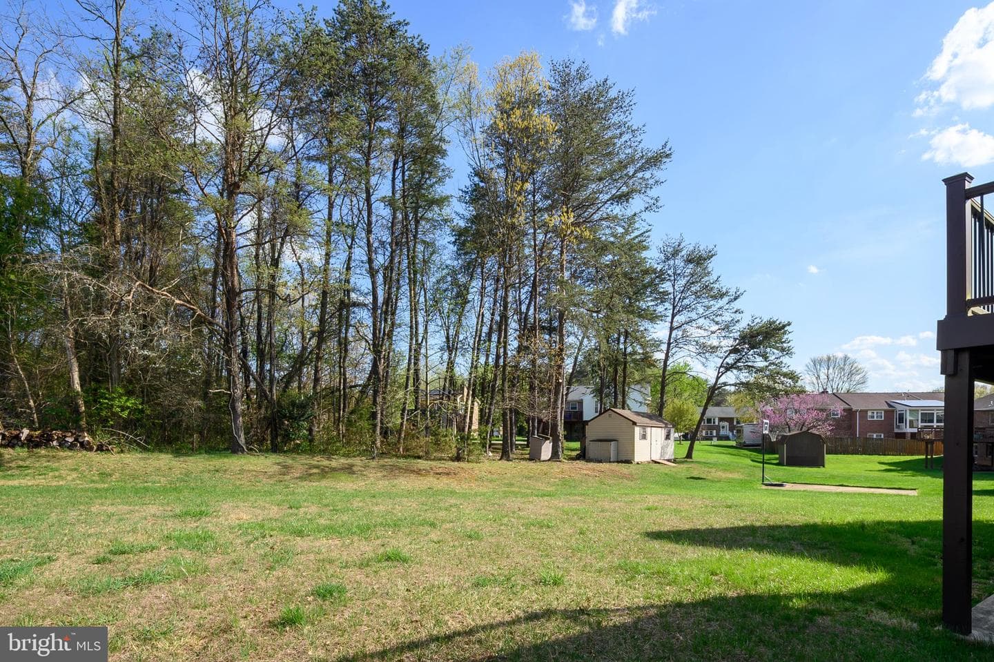 4437 Natahala Drive photo 35