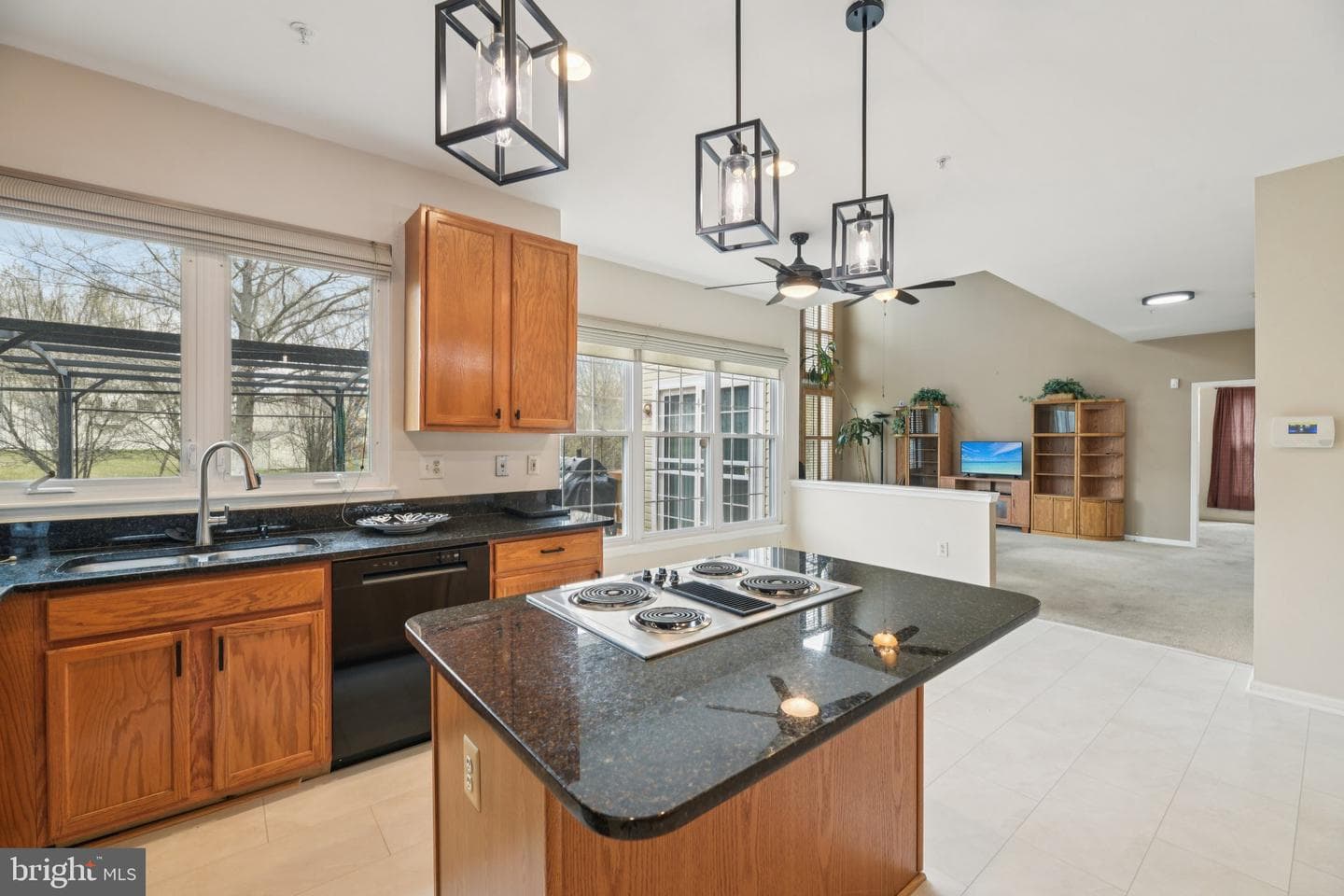 12912 Piscataway Landing Drive photo 15