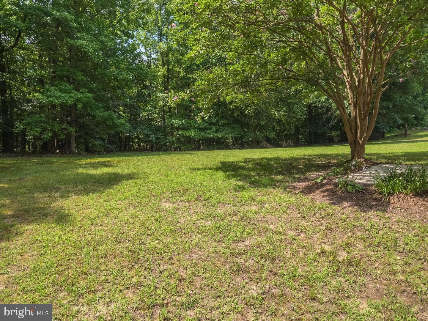 7701 Croom Road photo 5