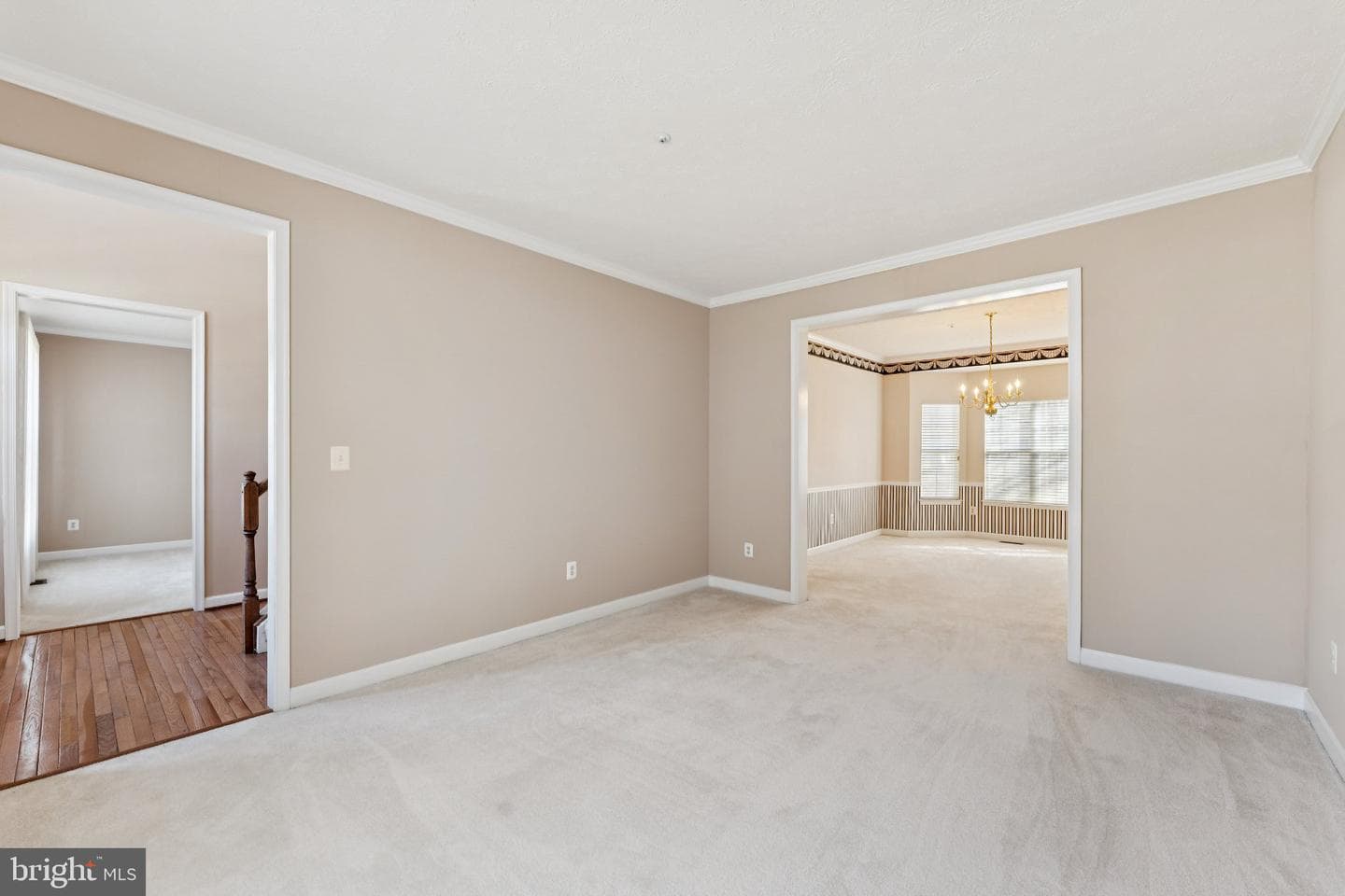 11005 Ibis Lane photo 8