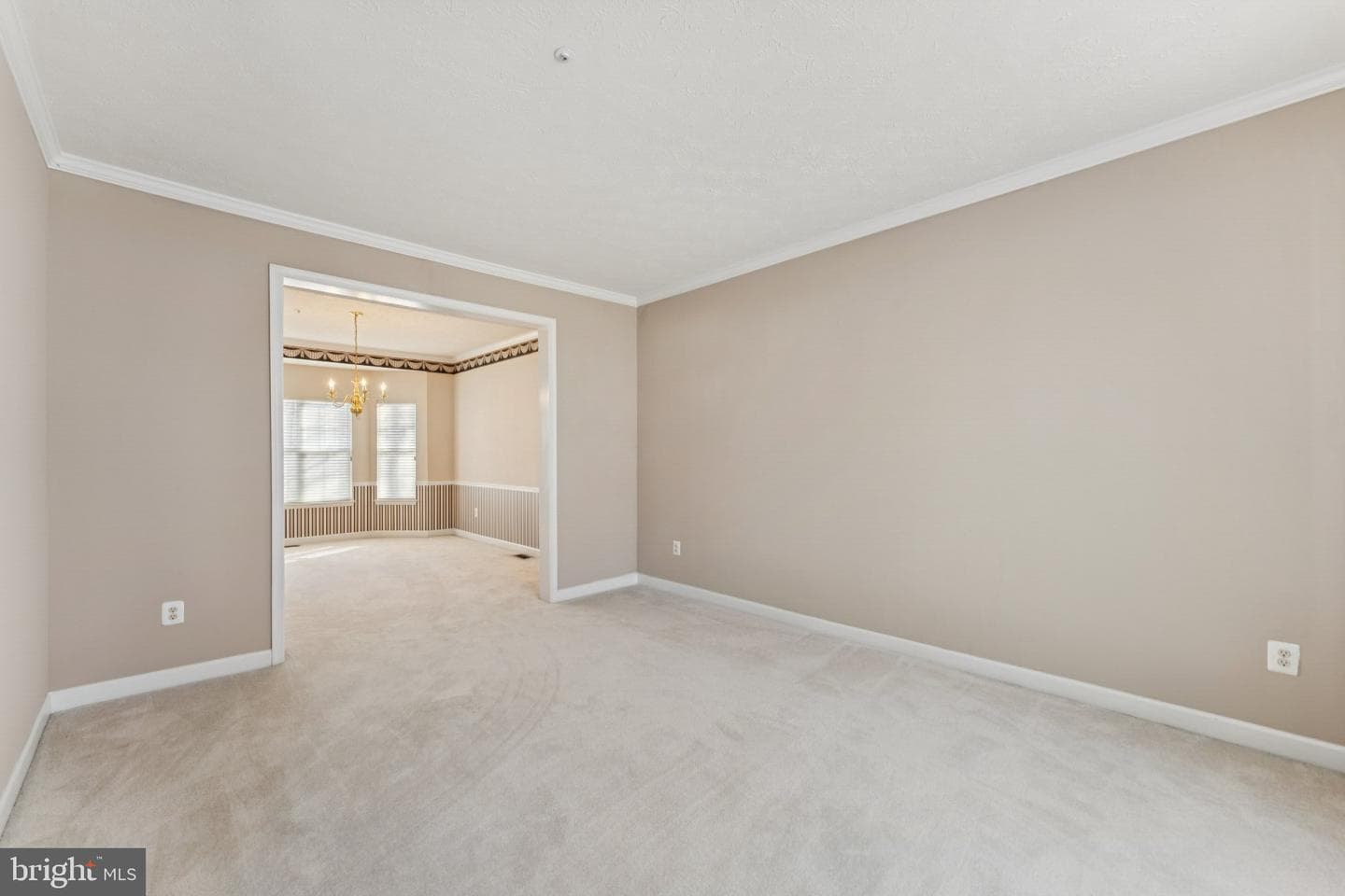 11005 Ibis Lane photo 9