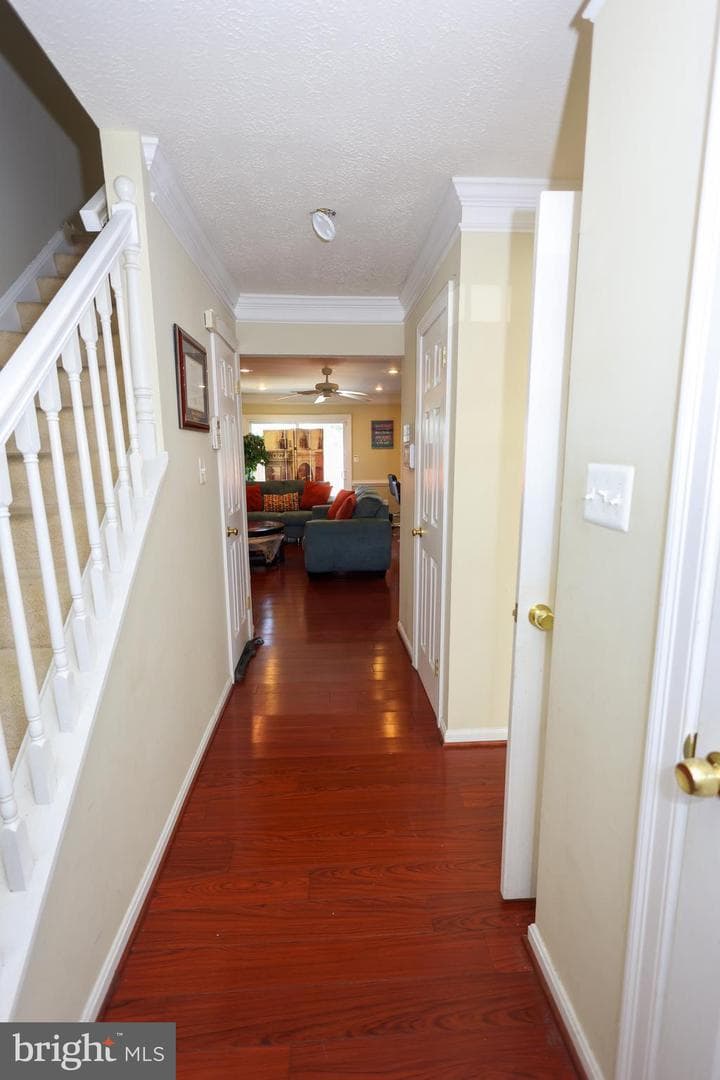7512 Courtney Place photo 2