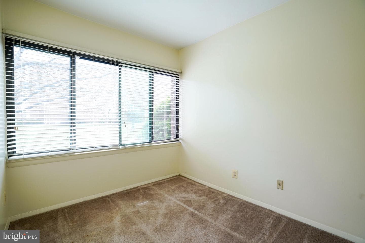 11238 Cherry Hill Road #102 photo 17