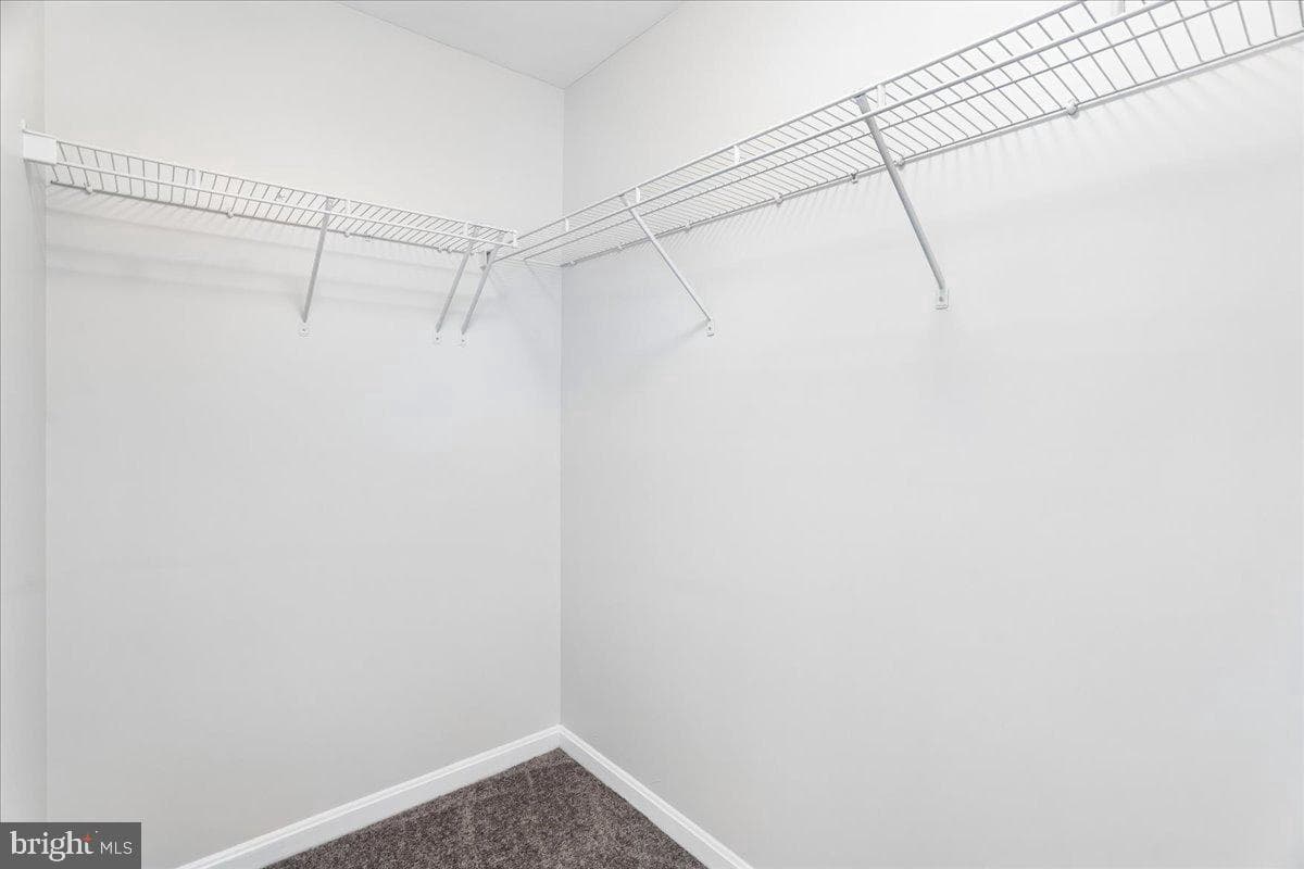 3102 Irma Court photo 19