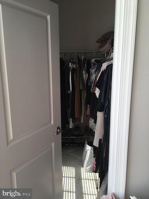 10062 Dorsey Lane #42 photo 13